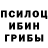 Галлюциногенные грибы MAGIC MUSHROOMS vitalik mescherakov