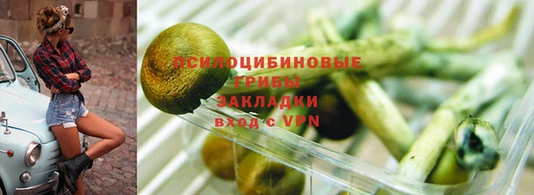 гидропоника Гусиноозёрск