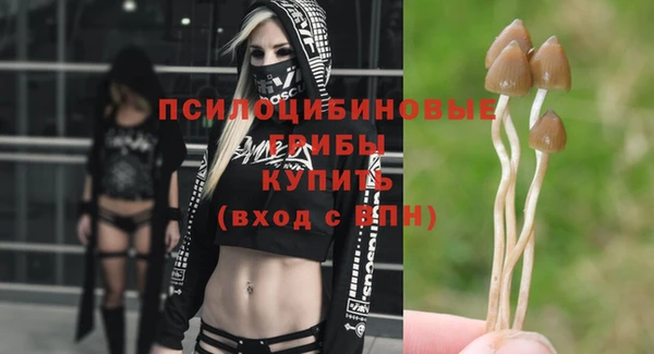 соль курить ск Гусев