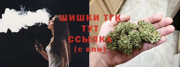 гидропоника Гусиноозёрск