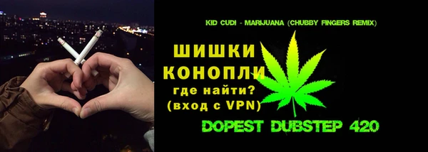 гидропоника Гусиноозёрск