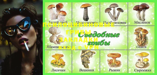 гидропоника Гусиноозёрск