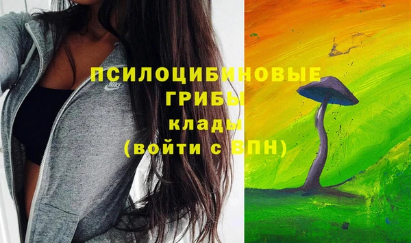 соль курить ск Гусев