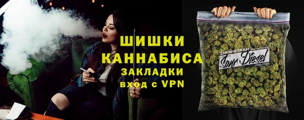 гидропоника Гусиноозёрск