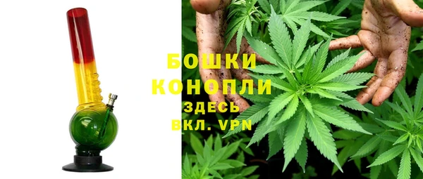 гидропоника Гусиноозёрск