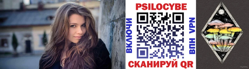 купить наркотики сайты  Альметьевск  дарк нет Telegram  Псилоцибиновые грибы Psilocybe 